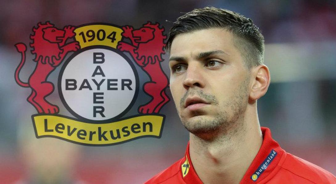bayer