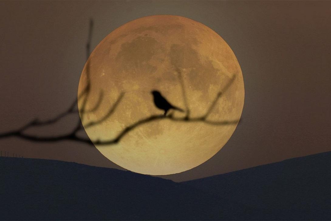 πανσέληνος