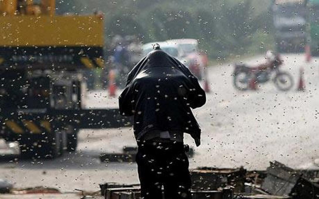 ΗΠΑ: Τρόμος από την απόδραση 20 εκατομμυρίων μελισσών!