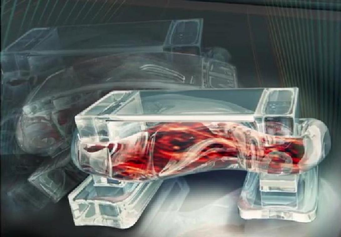 Ρομπότ κινούνται με την βοήθεια μυϊκών κυττάρων (βίντεο)