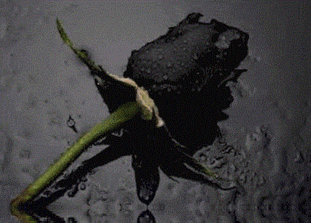 Η κηδεία έγινε αλλά... το ΠΑΣΟΚ δεν ήταν εκεί!