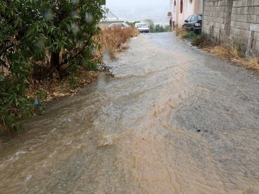 bora2.jpg