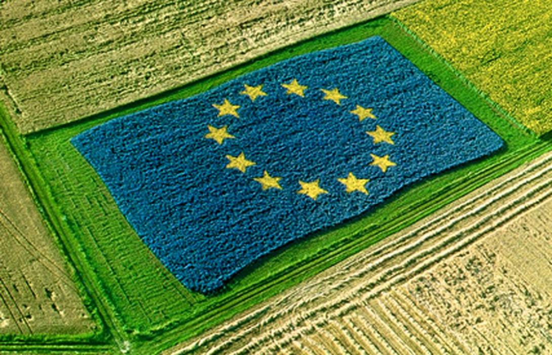brexit-1068x688.jpg