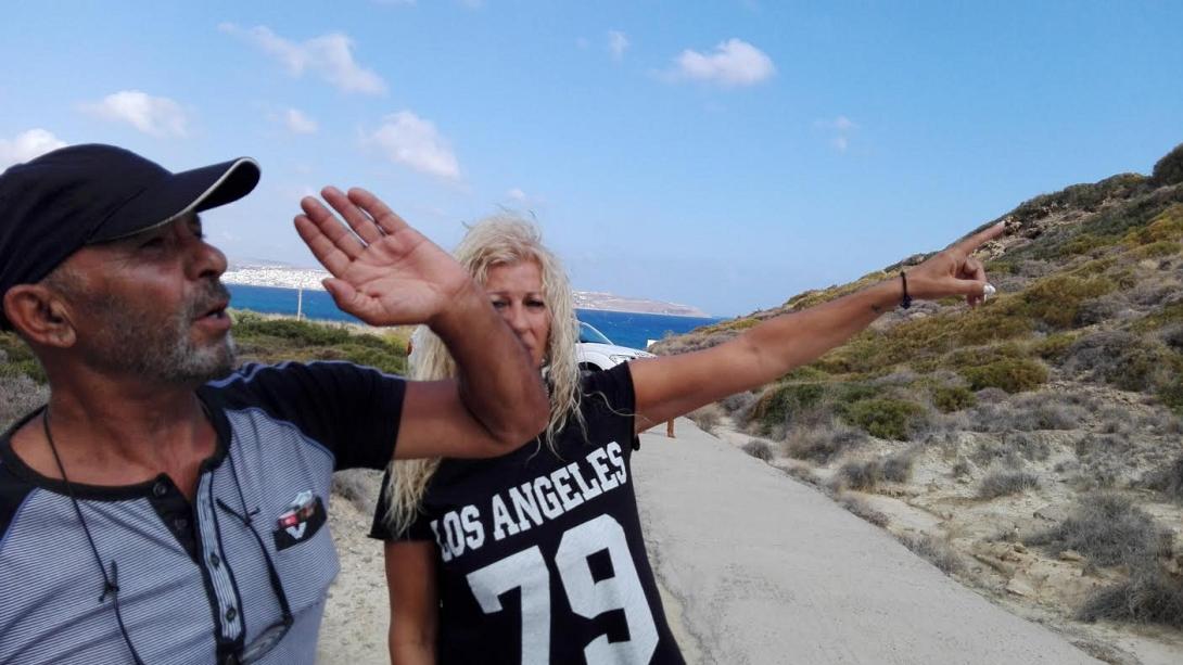 σητεία αιλουροειδές