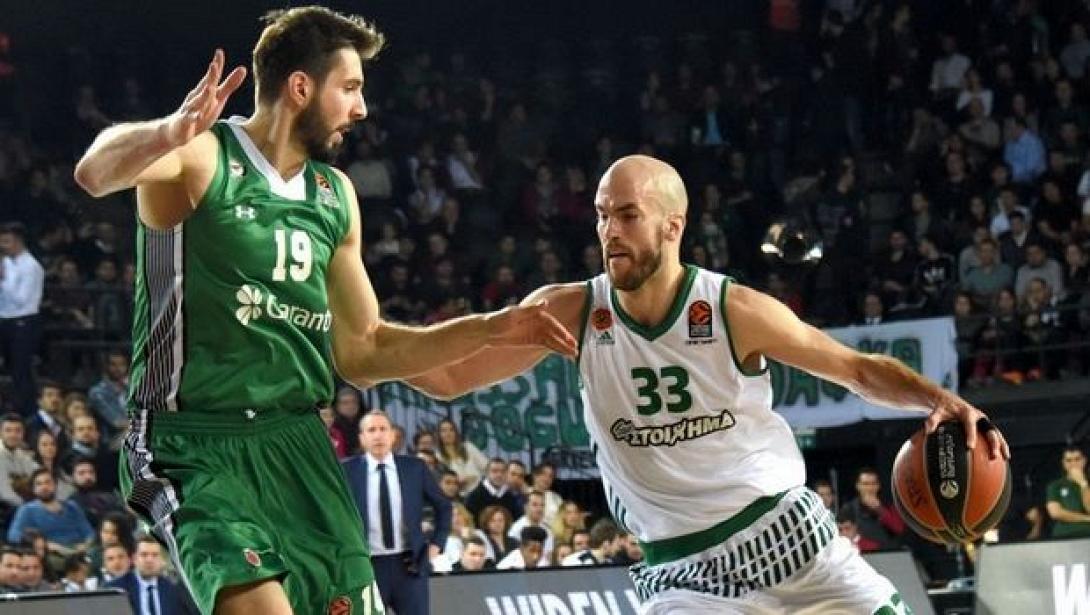 calathes.jpg