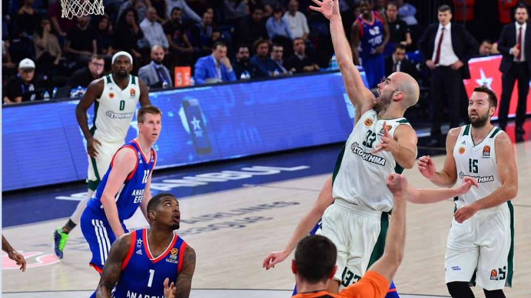 calathes_1.jpg