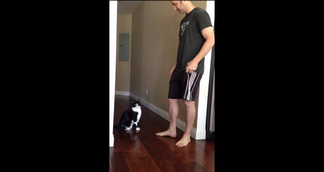 Η καλύτερη γατίσια αγκαλιά! (βίντεο)