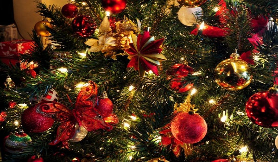 christmas_tree.jpg
