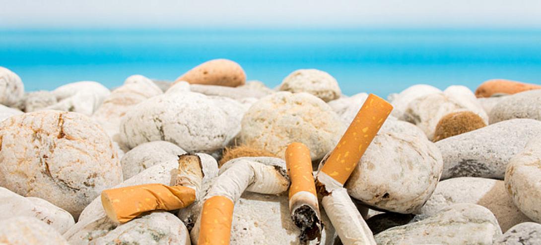 cigar-beach-660.jpg