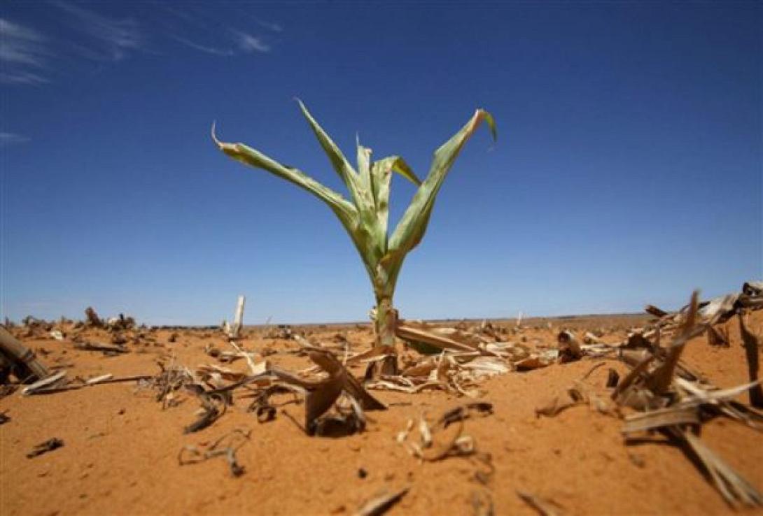 climate-600-x-406.jpg