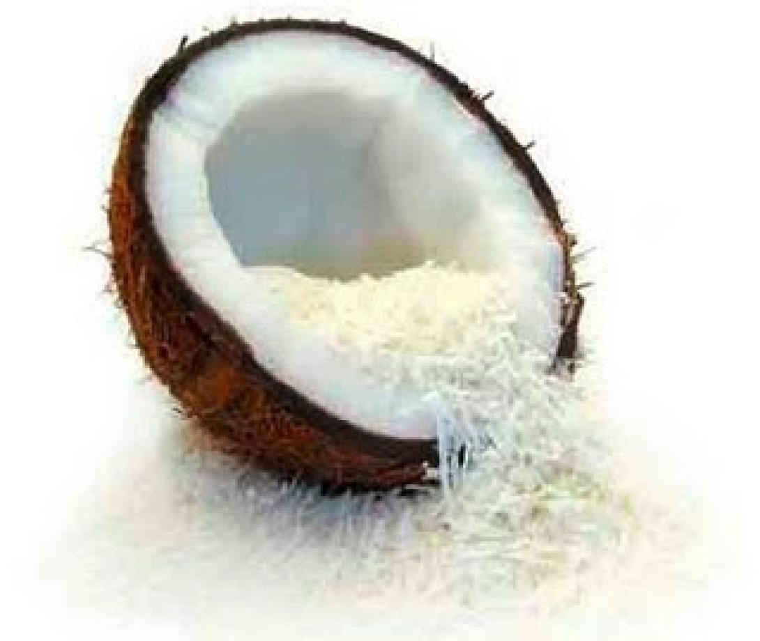 coco.jpg