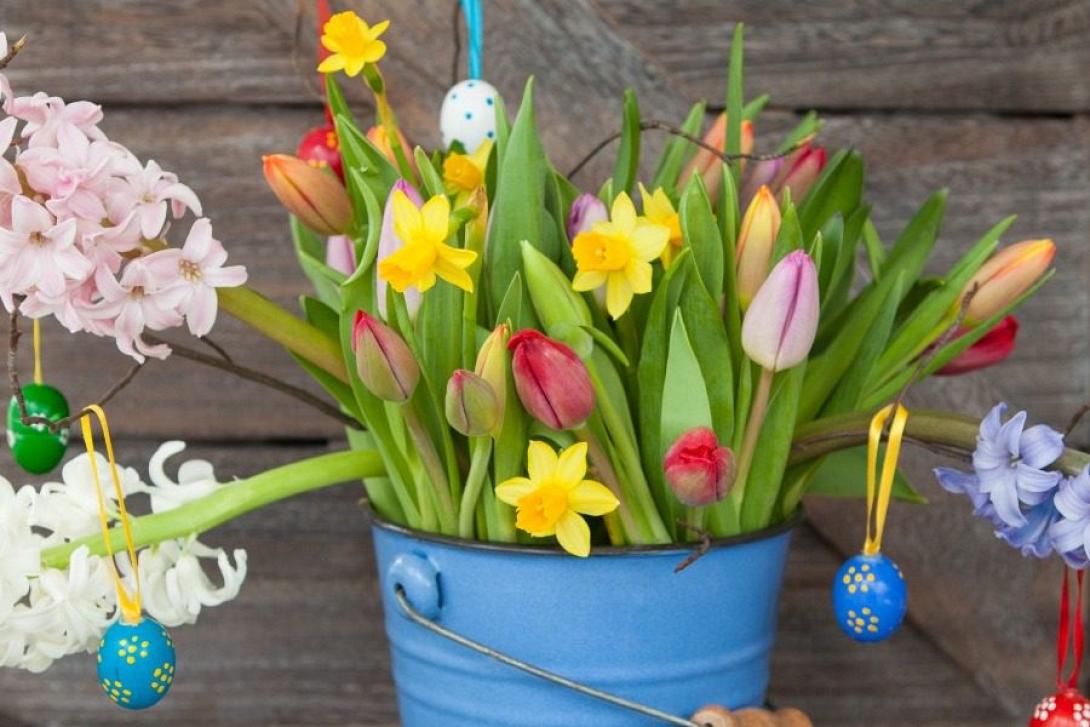 colorful-flowers.jpg