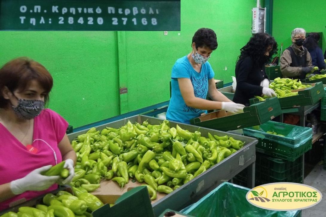 Συσκευαστήριο στην Ιεράπετρα