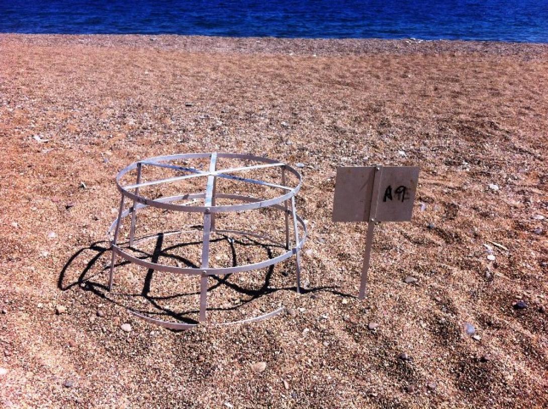 χελωνα