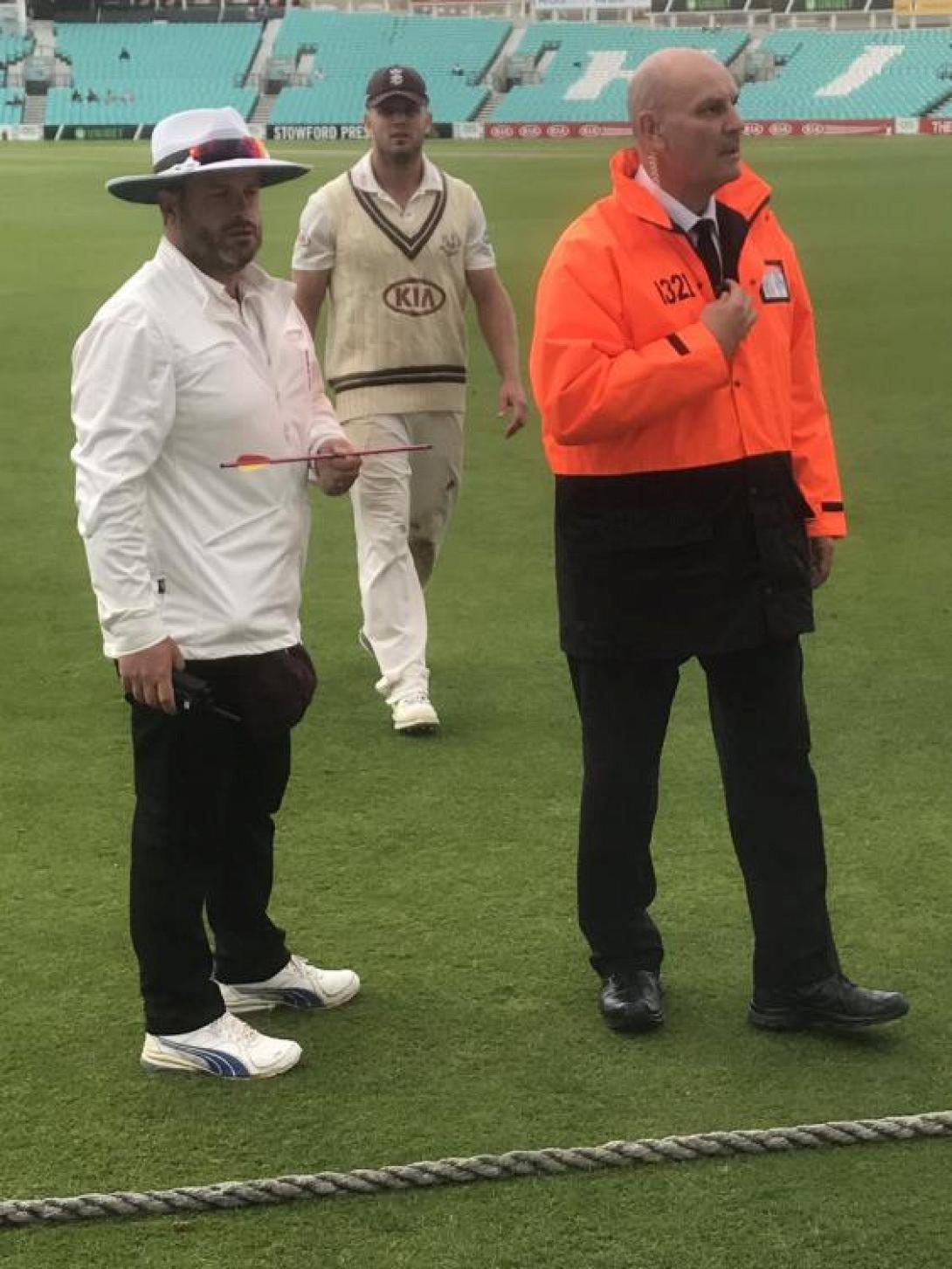 cricket1.jpg