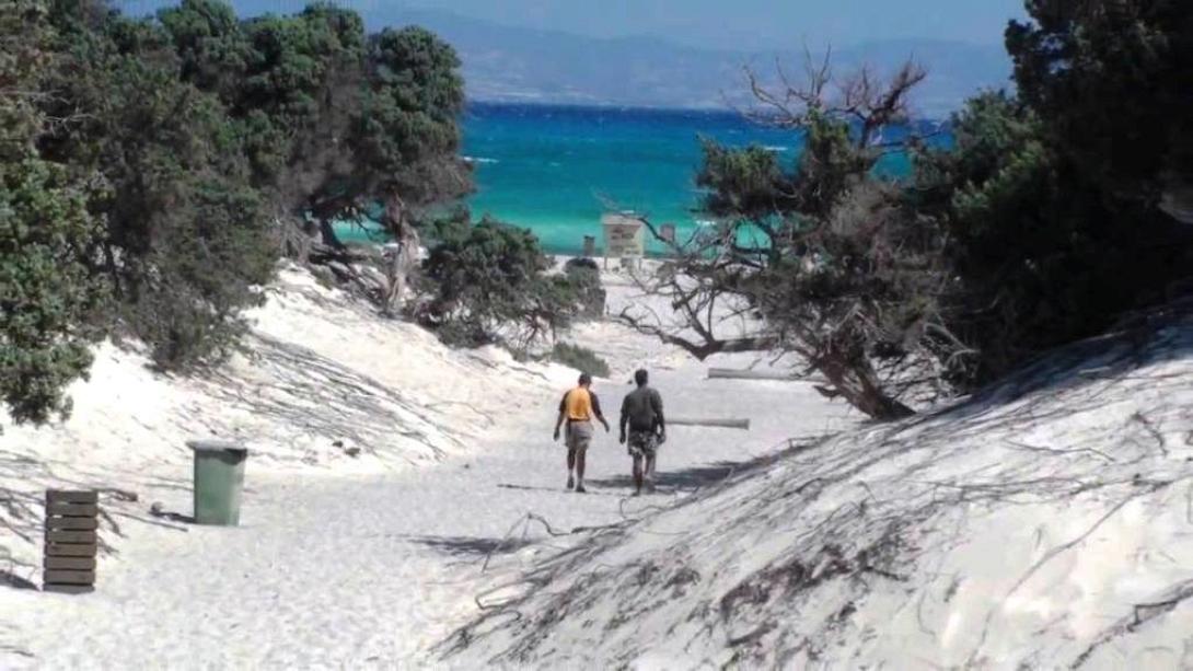 χρυσή κεδρόδασος