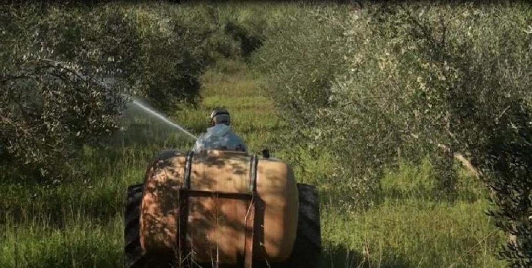 δακοκτονία