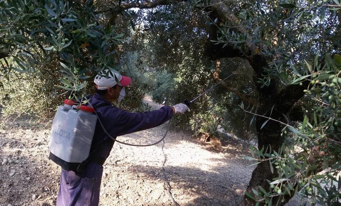 dakoktonia-lesvos-lesvosnws-lesvos-dakos-dakoktonia-mytilini-960x580-960x580-1-960x580.jpg