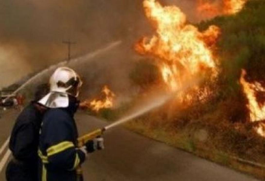 Ημερίδες για την Πρόληψη των Δασικών Πυρκαγιών στην Κρήτη