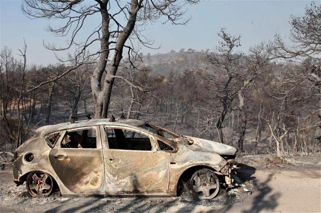 εύβοια δάσος natura φωτιά