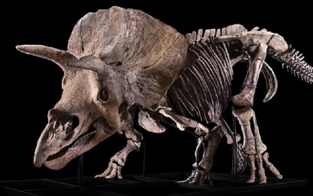 τρικερατοπας