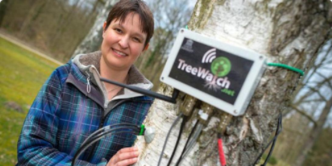 δεντρα twitter