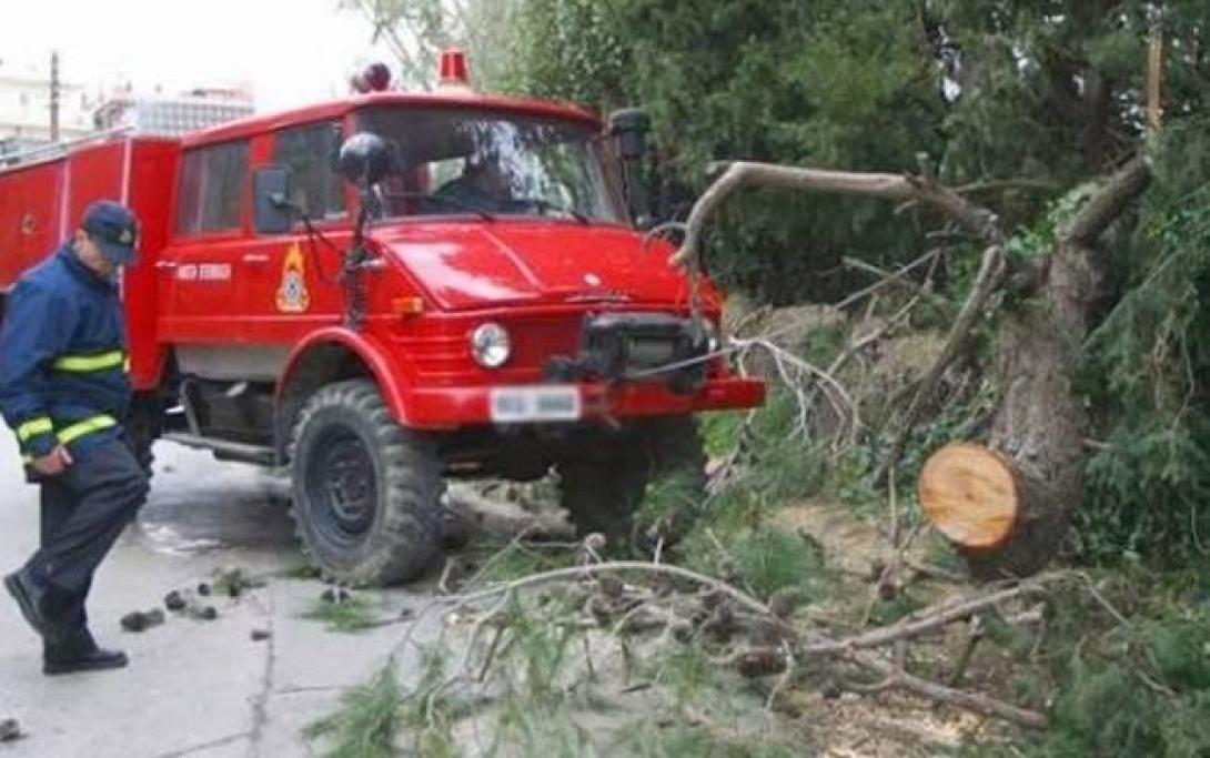 δεντρο