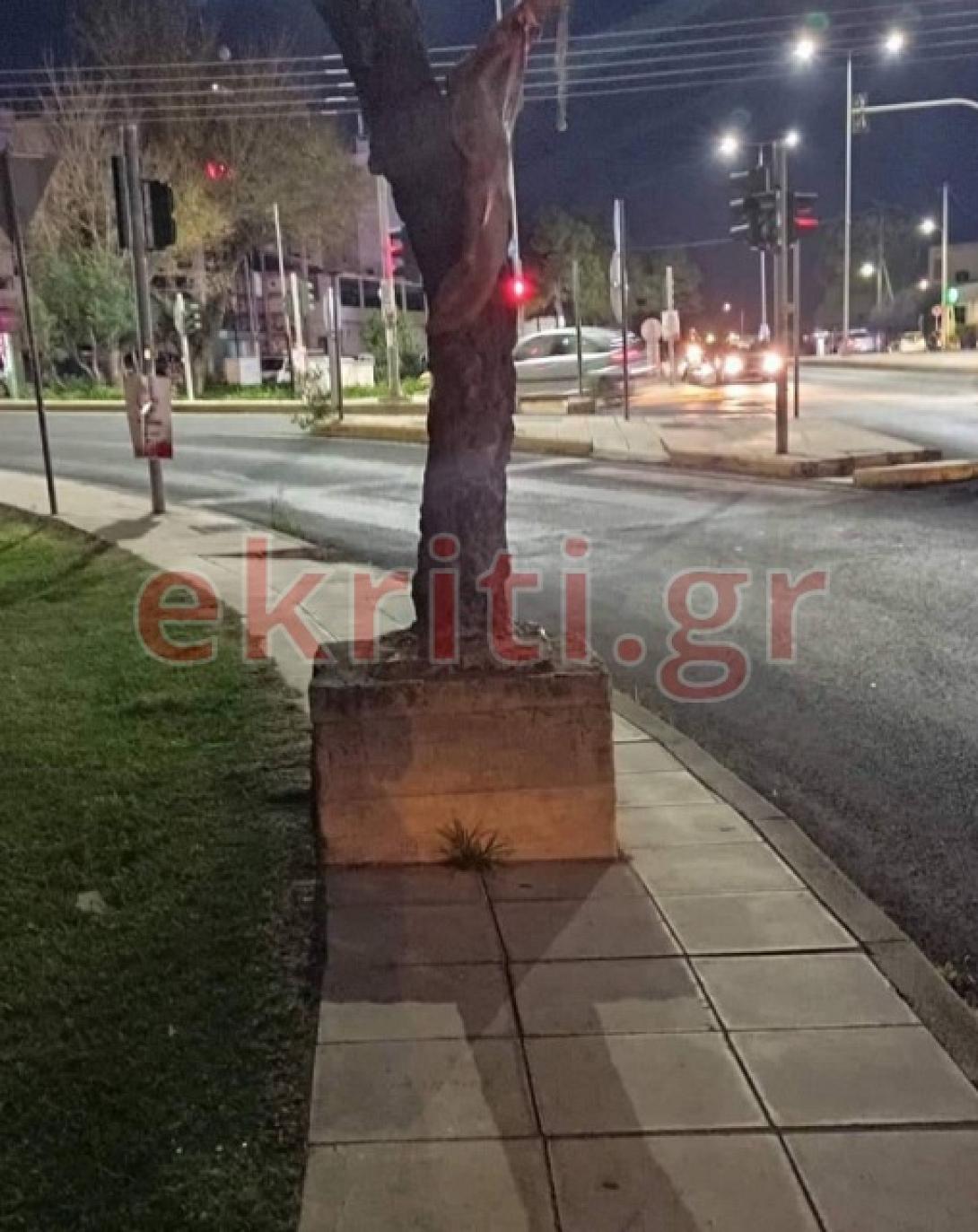 δέντρο