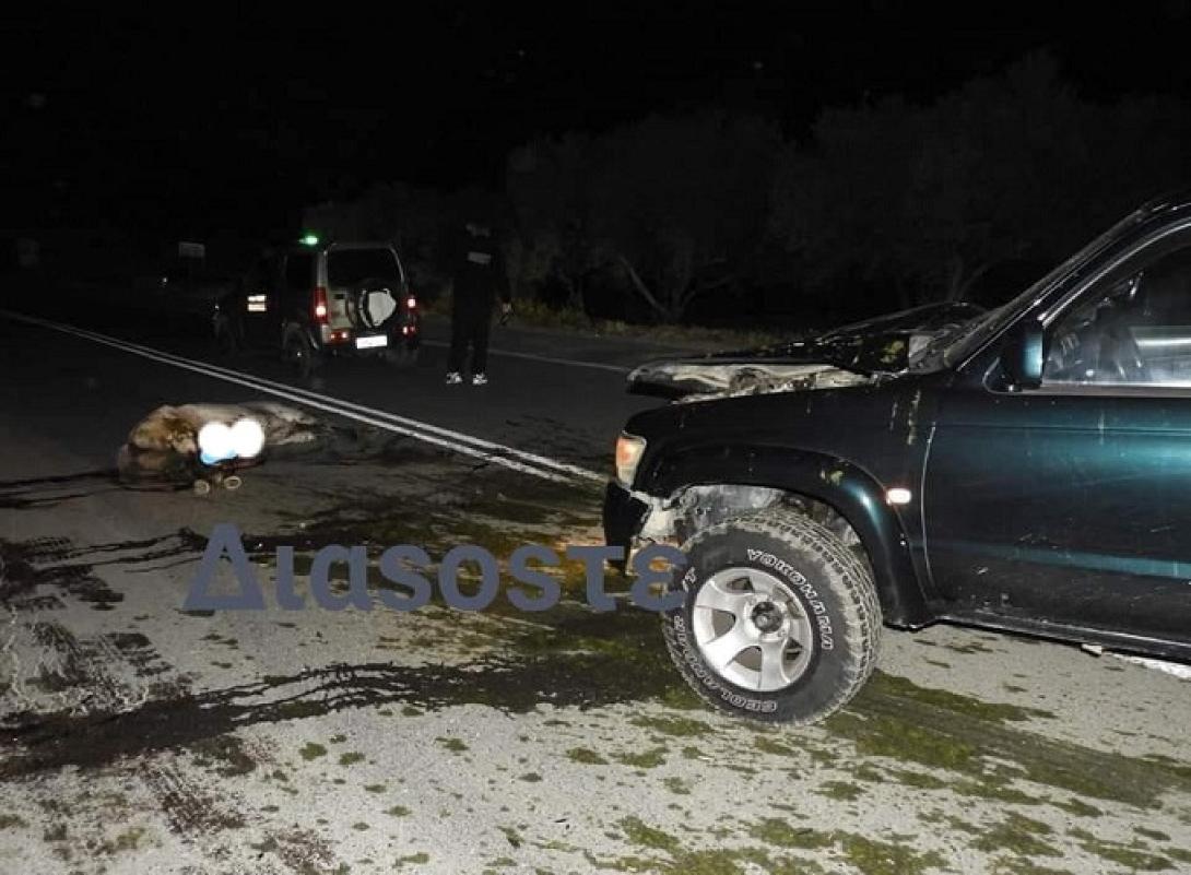Σύγκρουση αλόγου με αγροτικό