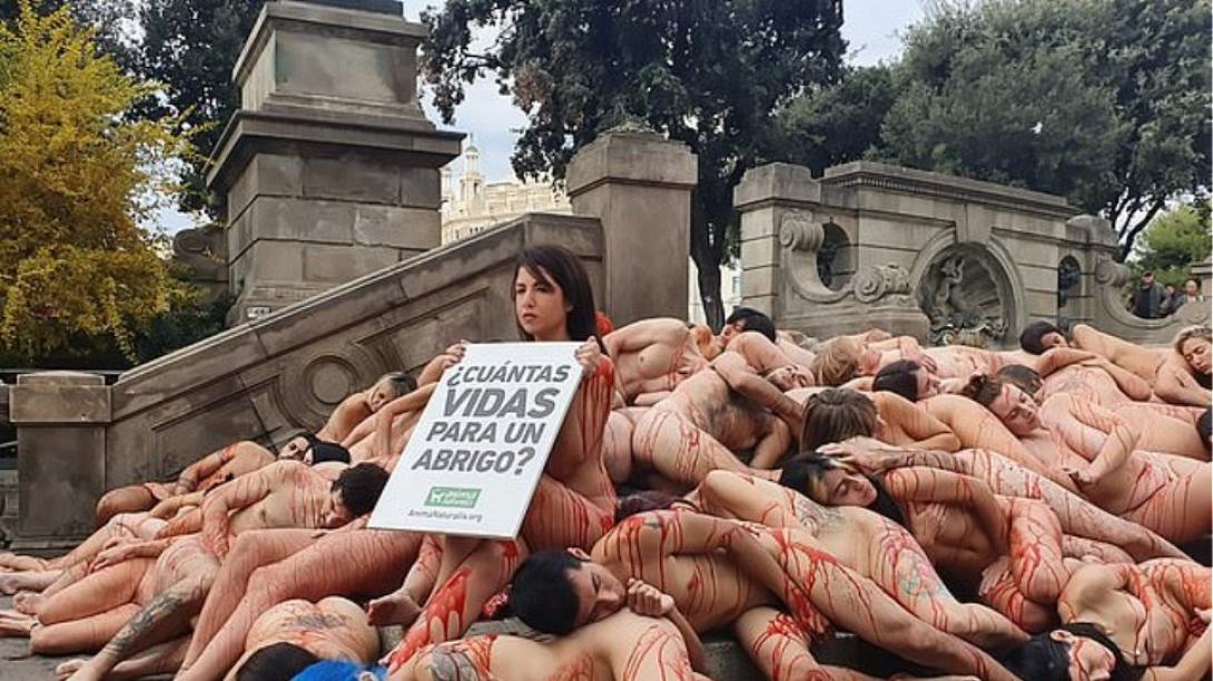 διαμαρτυρια γουνα