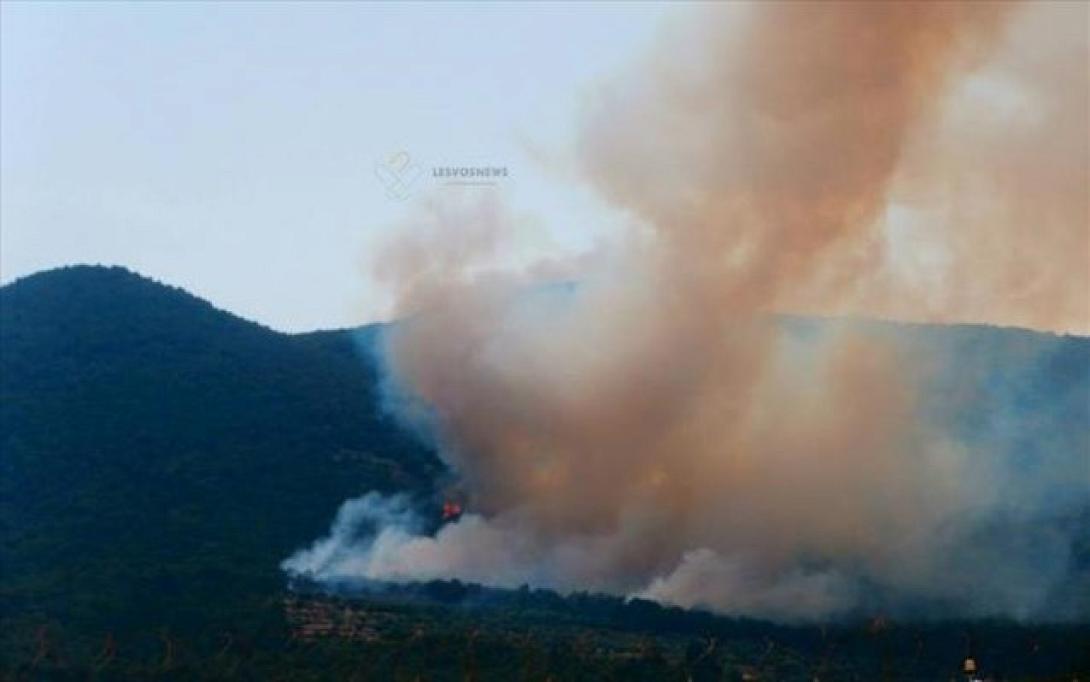 Διαστάσεις παίρνει η φωτιά στη Μυτιλήνη