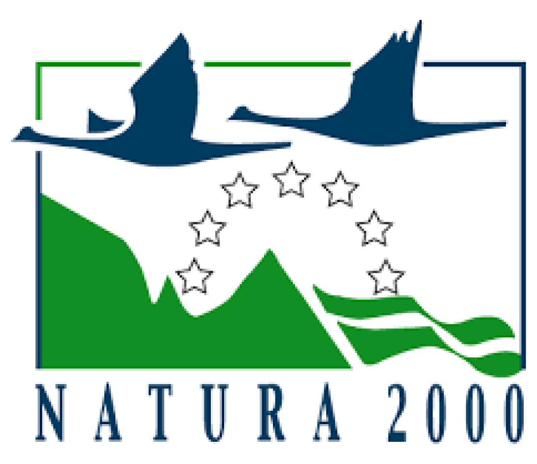 diktio_natoyra.png