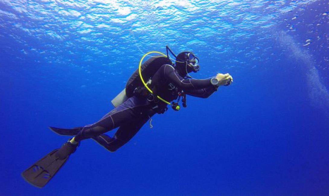 diver.jpg