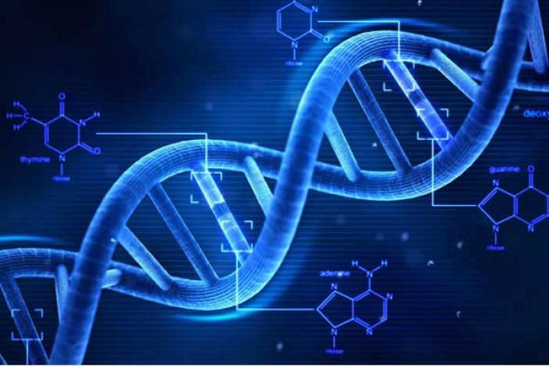 dna-elikas.jpg