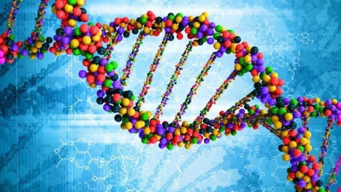 Επιστήμονες κατάφεραν να κάνουν &quot;copy paste&quot; το DNA