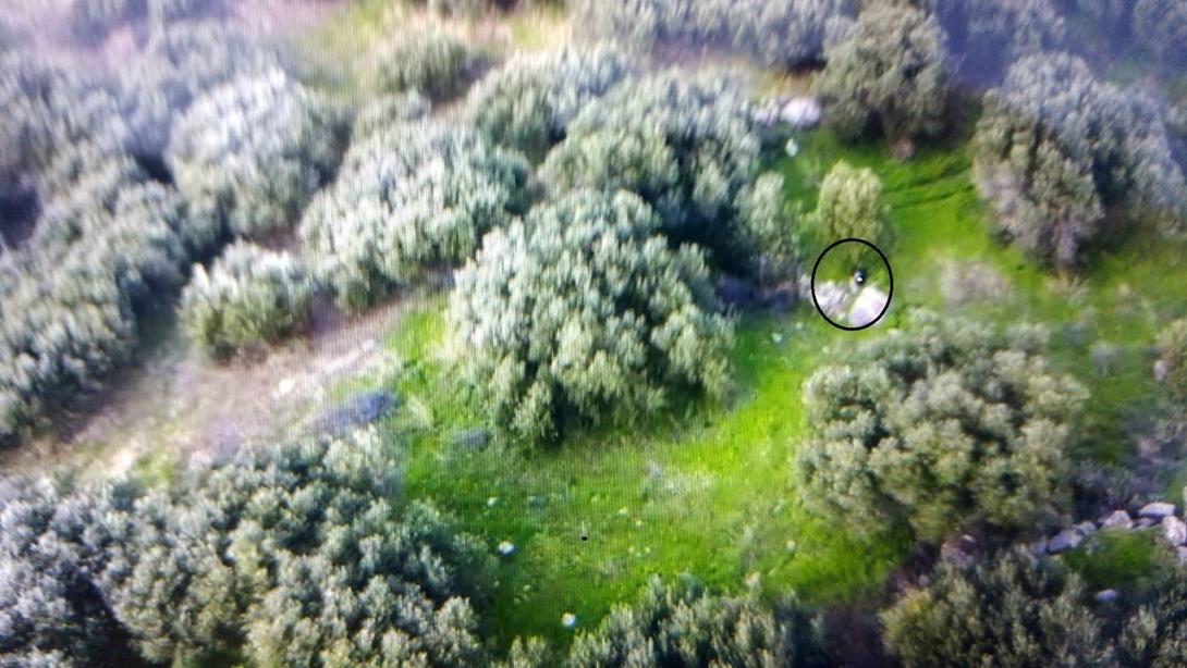 drone 