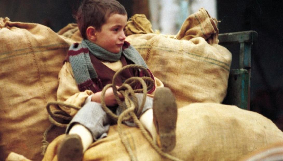 το δέντρο με τα τσόκαρα