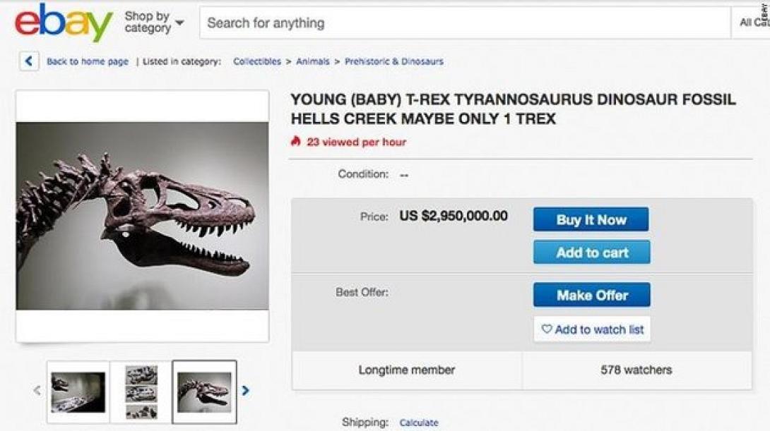 ebay.jpeg