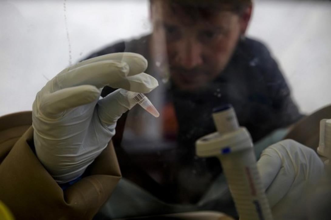 ΠΟΥ: &quot;Το 70% μπορεί να φτάσει η θνησιμότητα των ασθενών με ιό Έμπολα&quot;