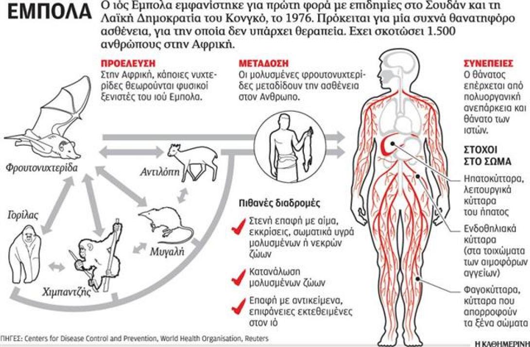 &quot;Πολύ χαμηλός&quot; ο κίνδυνος από τον ιό Έμπολα στην Ελλάδα