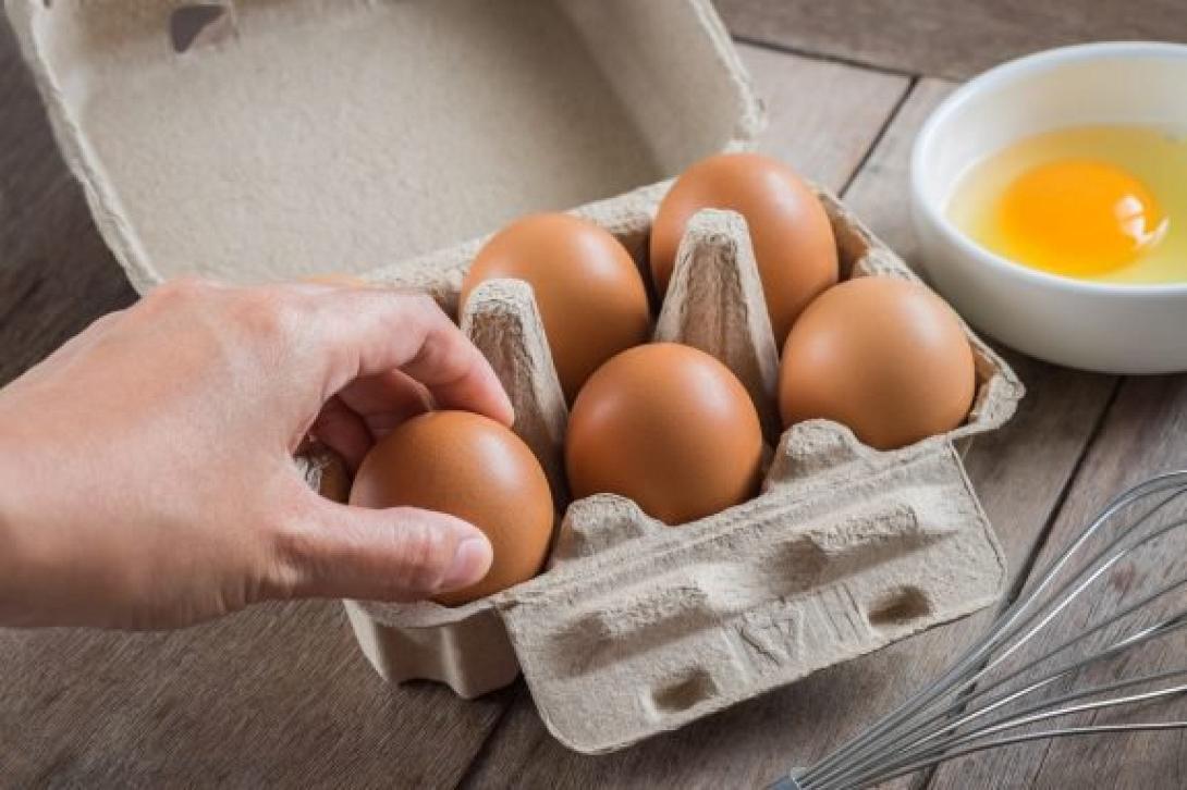egg.jpg