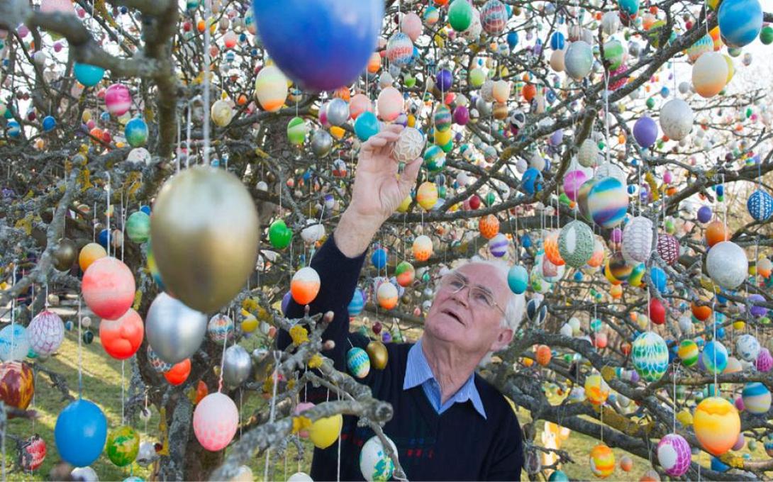eggtree2-thumb-large.jpg