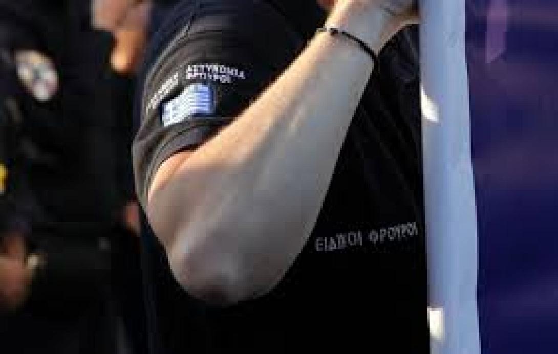 eidikos_froyros.jpg