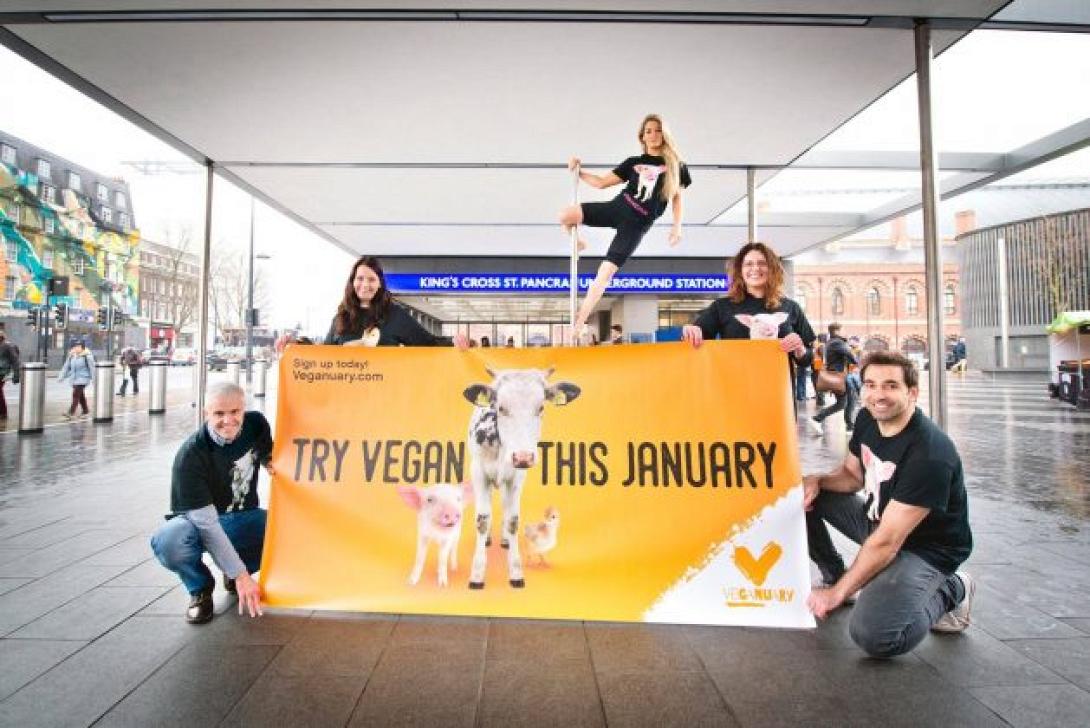 ekstrateia-veganuary-629x420.jpg