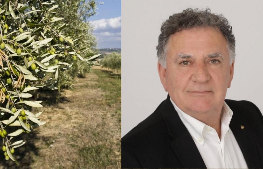 Μανώλης Φραγκάκης - Δακοκτονία