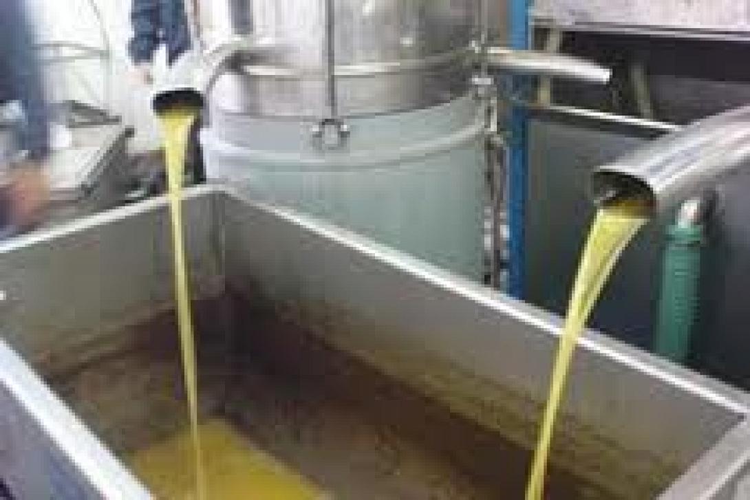 Κύπριοι ελαιοτριβείς στην Κρήτη