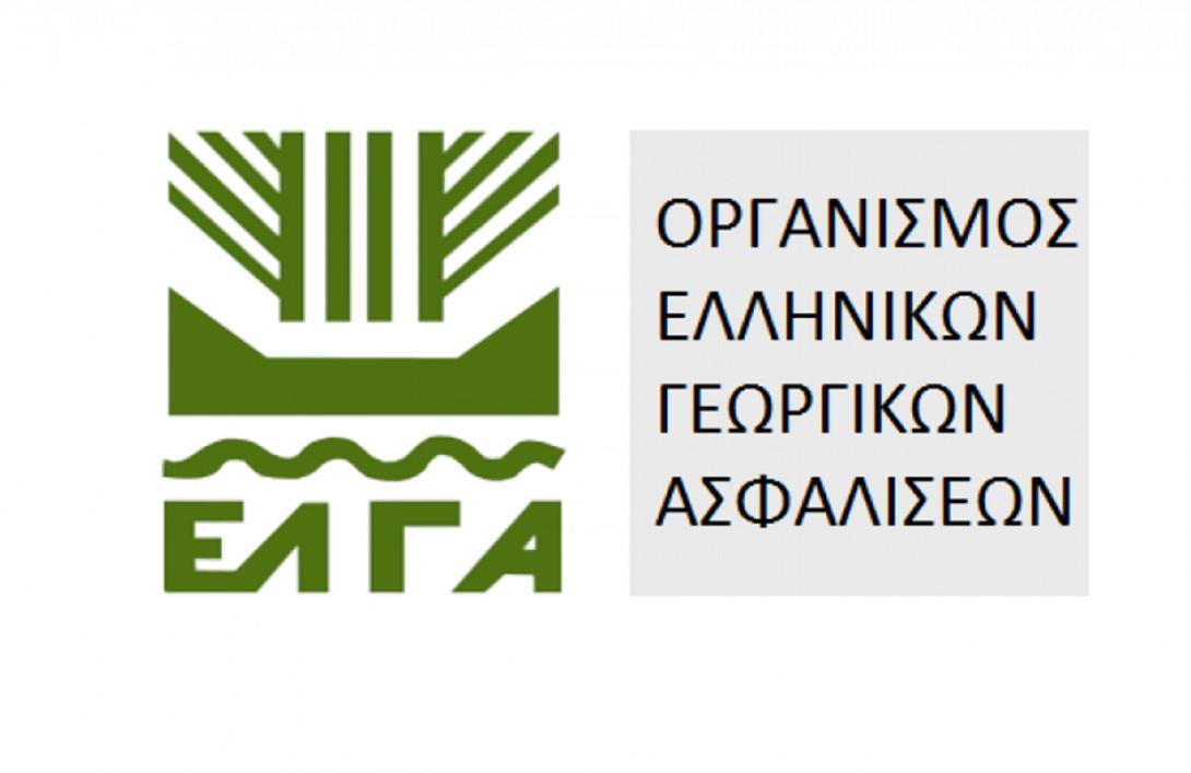 ελγα