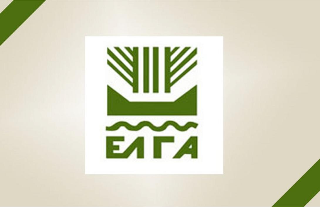 elga_728.jpg