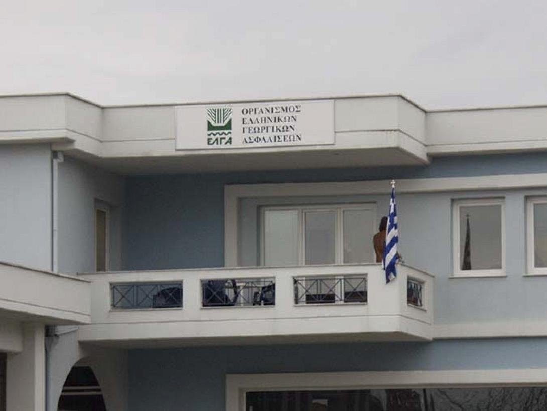 Βέροια: Μηνυτήρια αναφορά κατά των μελών του ΕΛΓΑ