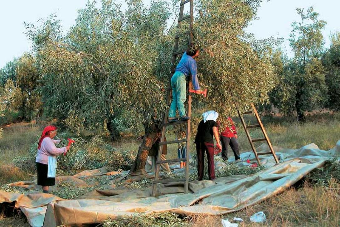 Οι κερδισμένοι και οι χαμένοι της νέας ΚΑΠ